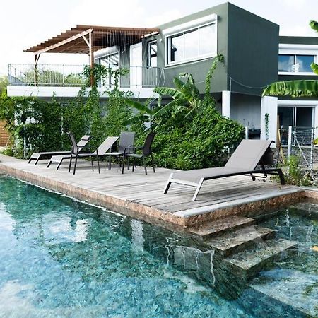 T3 Lumineux Avec Vue Exceptionnelle Et Piscine Oasis De Nature Et Serenite Petit-Canal Exteriér fotografie