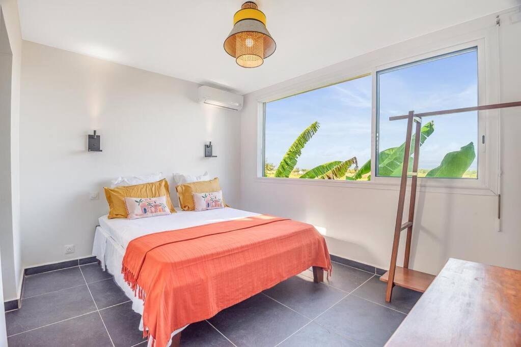 T3 Lumineux Avec Vue Exceptionnelle Et Piscine Oasis De Nature Et Serenite Petit-Canal Exteriér fotografie