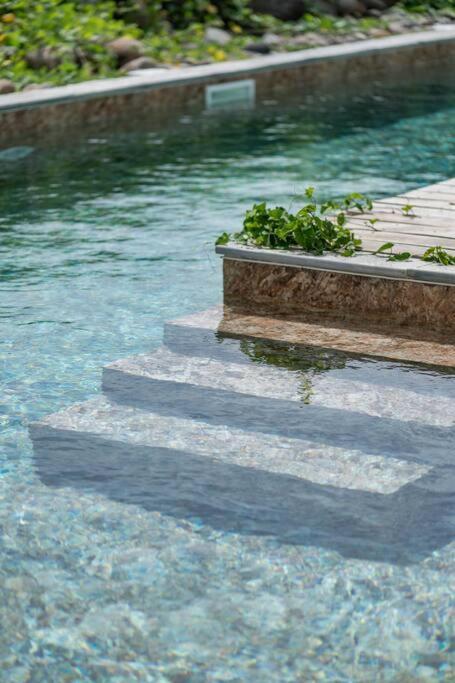 T3 Lumineux Avec Vue Exceptionnelle Et Piscine Oasis De Nature Et Serenite Petit-Canal Exteriér fotografie