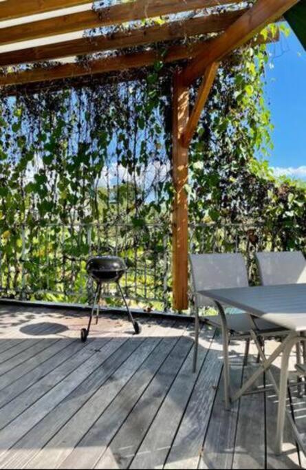 T3 Lumineux Avec Vue Exceptionnelle Et Piscine Oasis De Nature Et Serenite Petit-Canal Exteriér fotografie